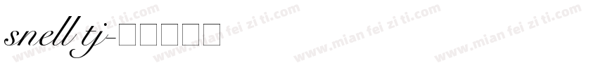 snell tj字体转换